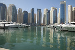 The Marina Dubai 201